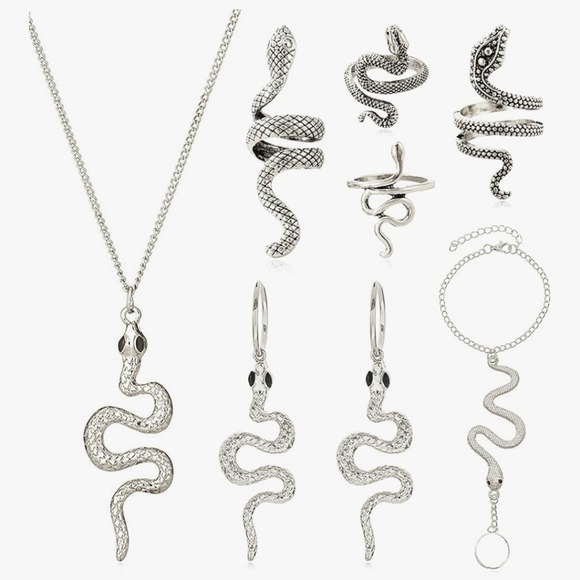Jewelry - Silver Snake Jewelry Set